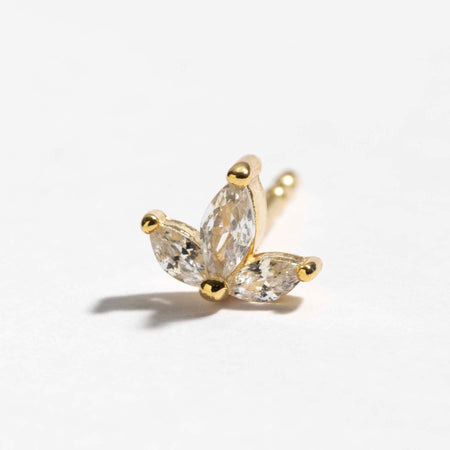 اقراط دانون