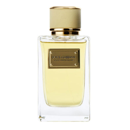 בושם Dolce and Gabbana Velvet Mimosa Leather EDP 150 מ״ל
