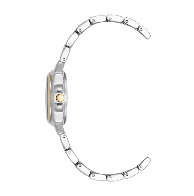 Anne Klein Metals Watch