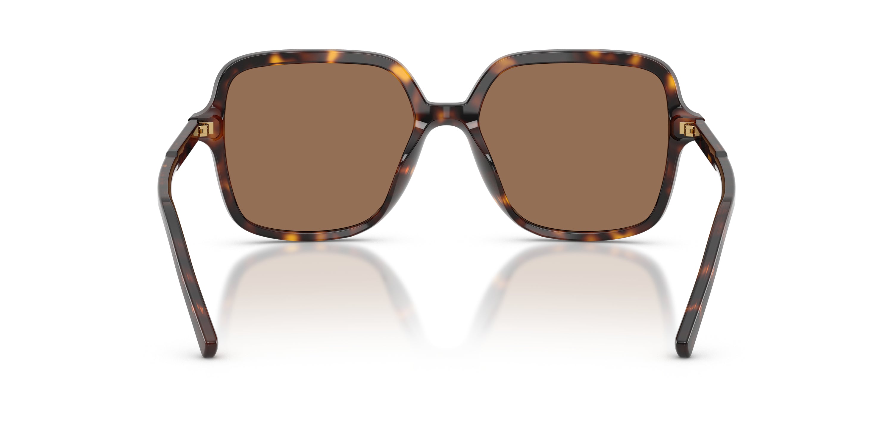 Dolce and Gabbana Sunglasses
