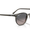 Ray-Ban Elliot Polorized Sunglasses