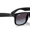 Ray-Ban Justin Classic Sunglasses