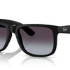 Ray-Ban Justin Classic Sunglasses