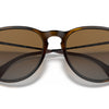 Ray-Ban Erika Classic Polorized Sunglasses