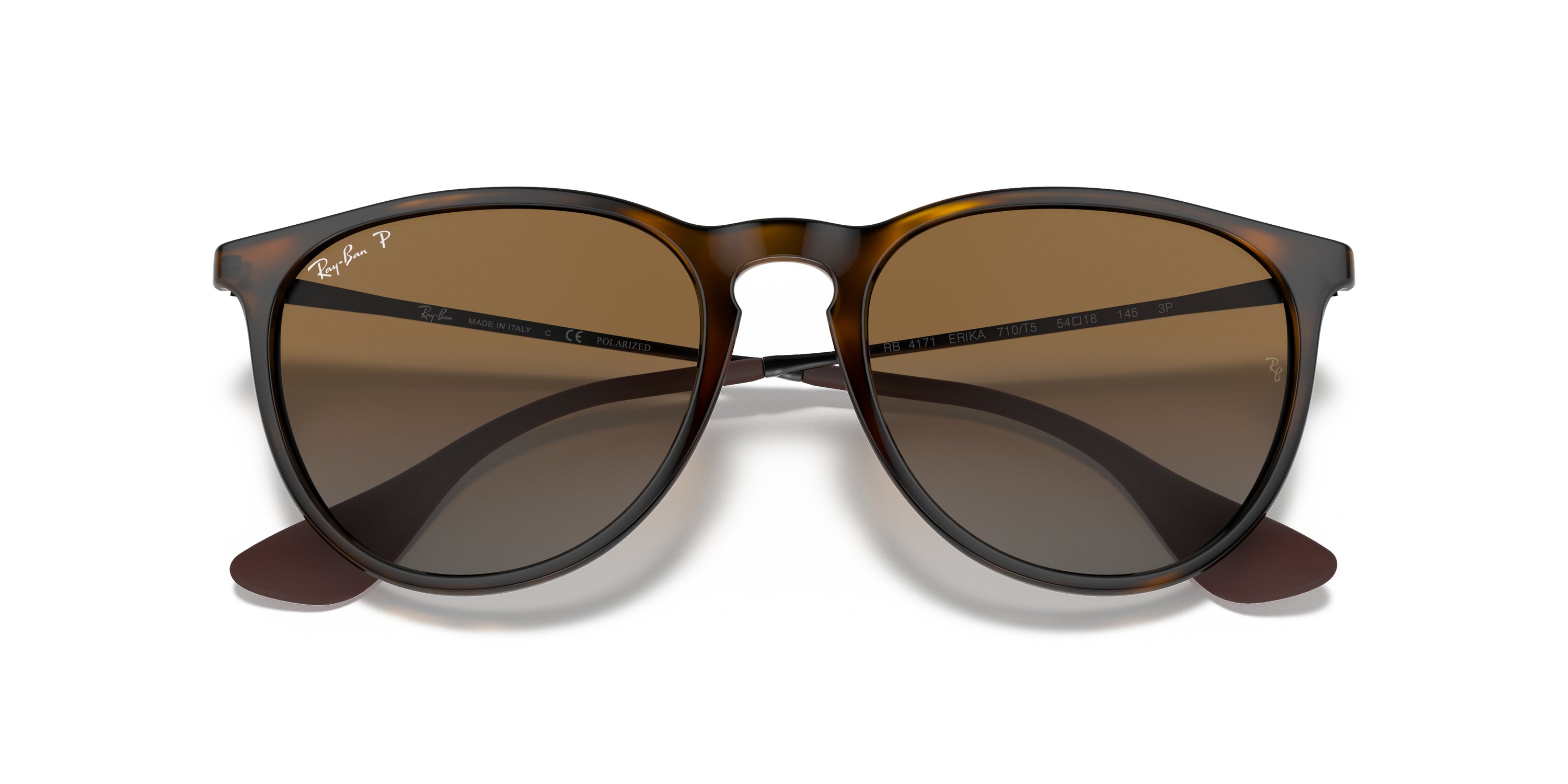 Ray-Ban Erika Classic Polorized Sunglasses