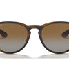 Ray-Ban Erika Classic Polorized Sunglasses