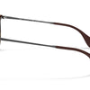 Ray-Ban Erika Classic Polorized Sunglasses