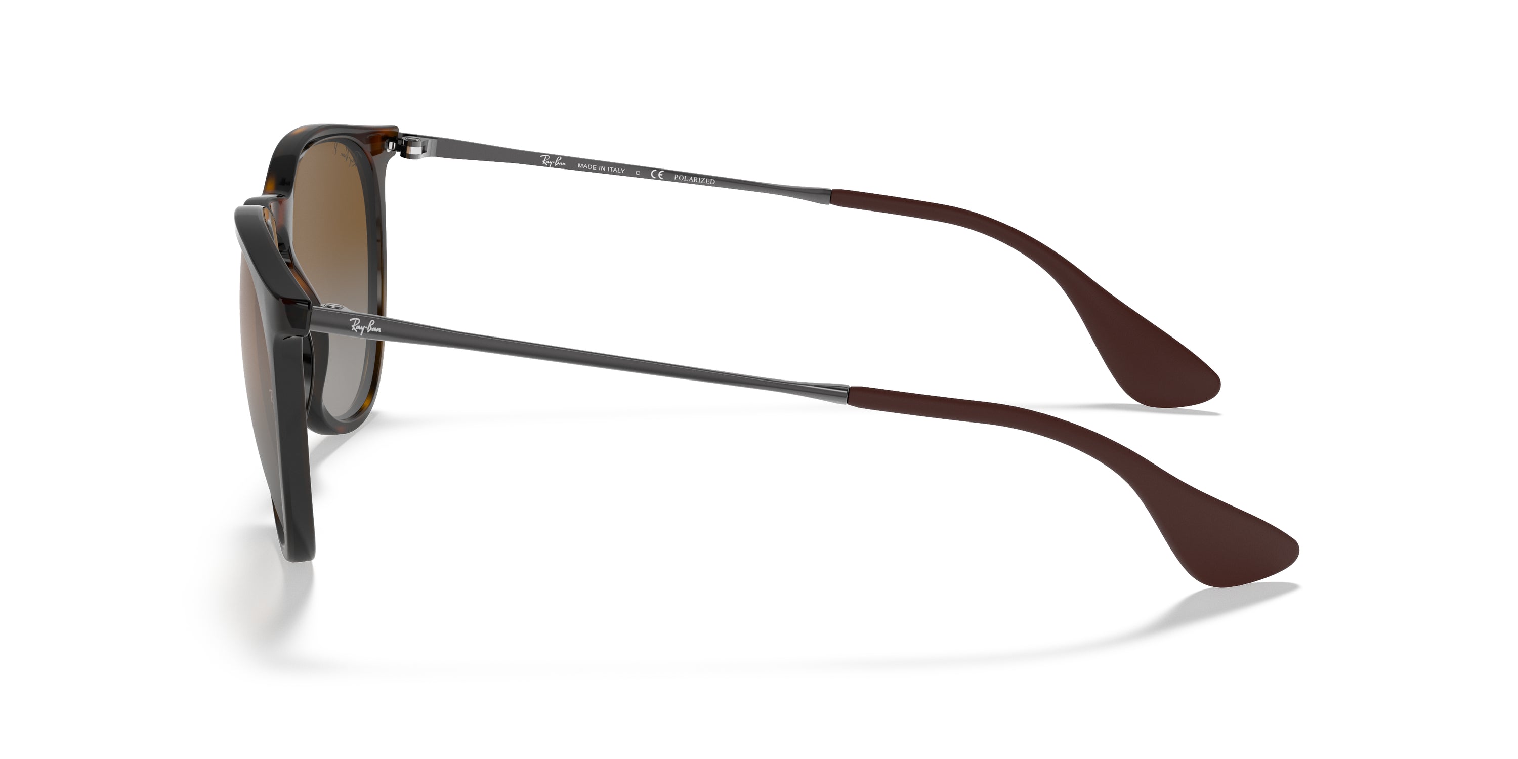 Ray-Ban Erika Classic Polorized Sunglasses