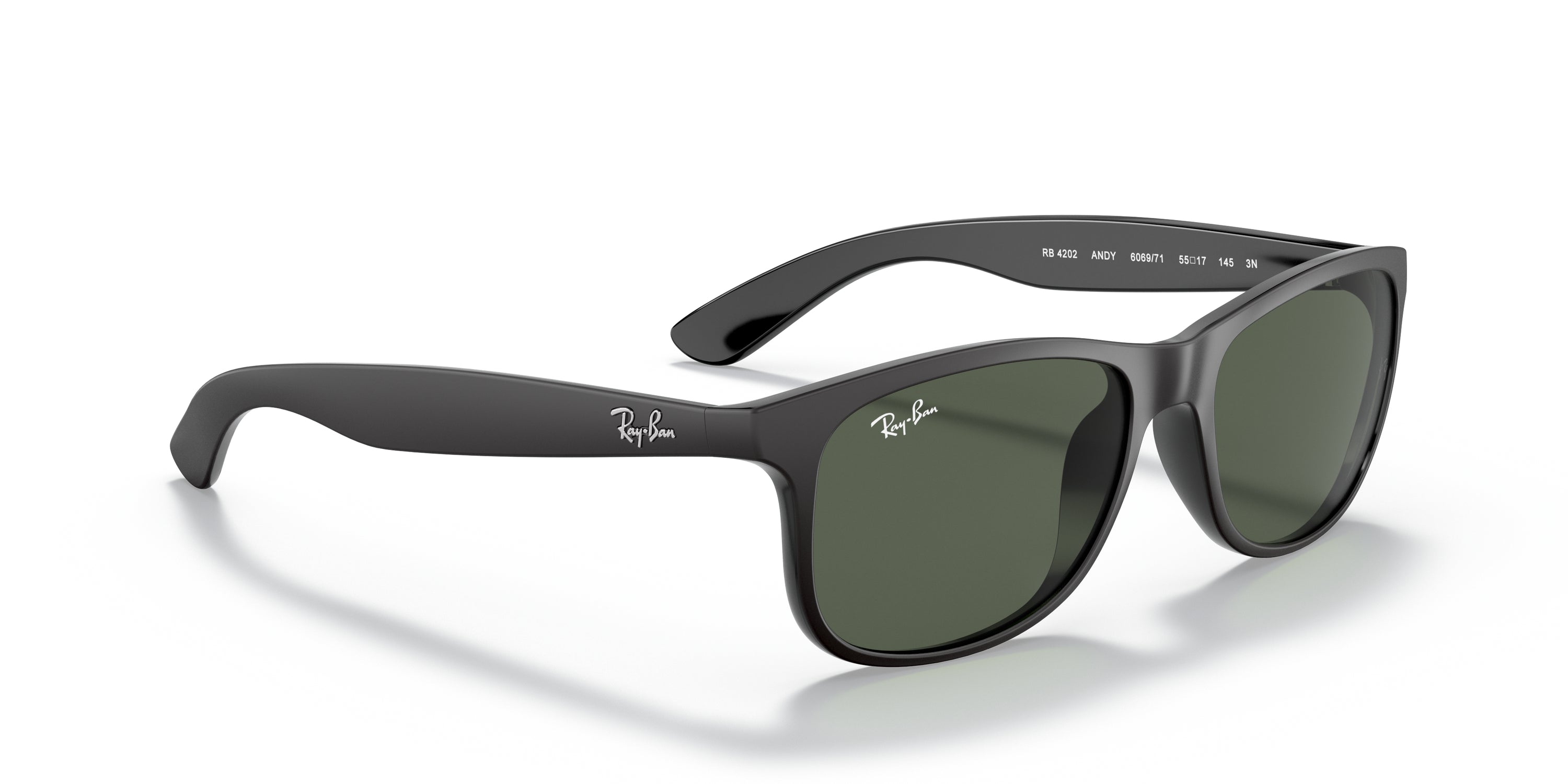 Ray-Ban Andy Sunglasses