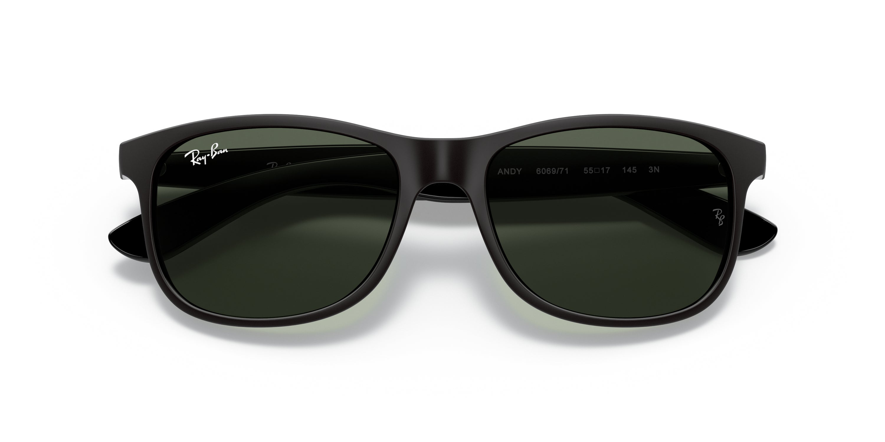 Ray-Ban Andy Sunglasses
