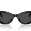 Swarovski Sunglasses