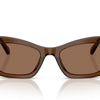 Swarovski Sunglasses