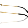 Swarovski Sunglasses
