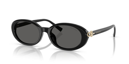 Tiffany & Co. Sunglasses