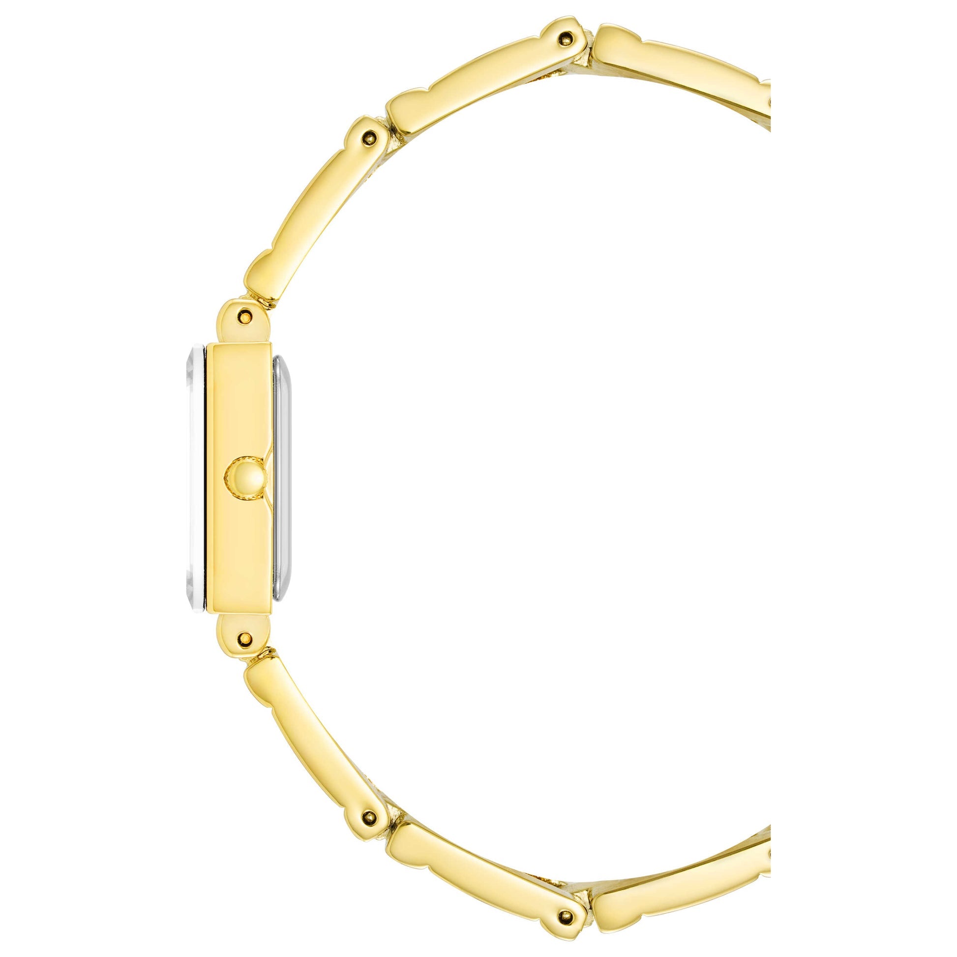 Anne Klein Watch