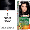 Garnier 1 Black Hair Color Hair Color