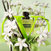 Valentino Born In Roma Green Stravaganza EDP 100ml Perfume
