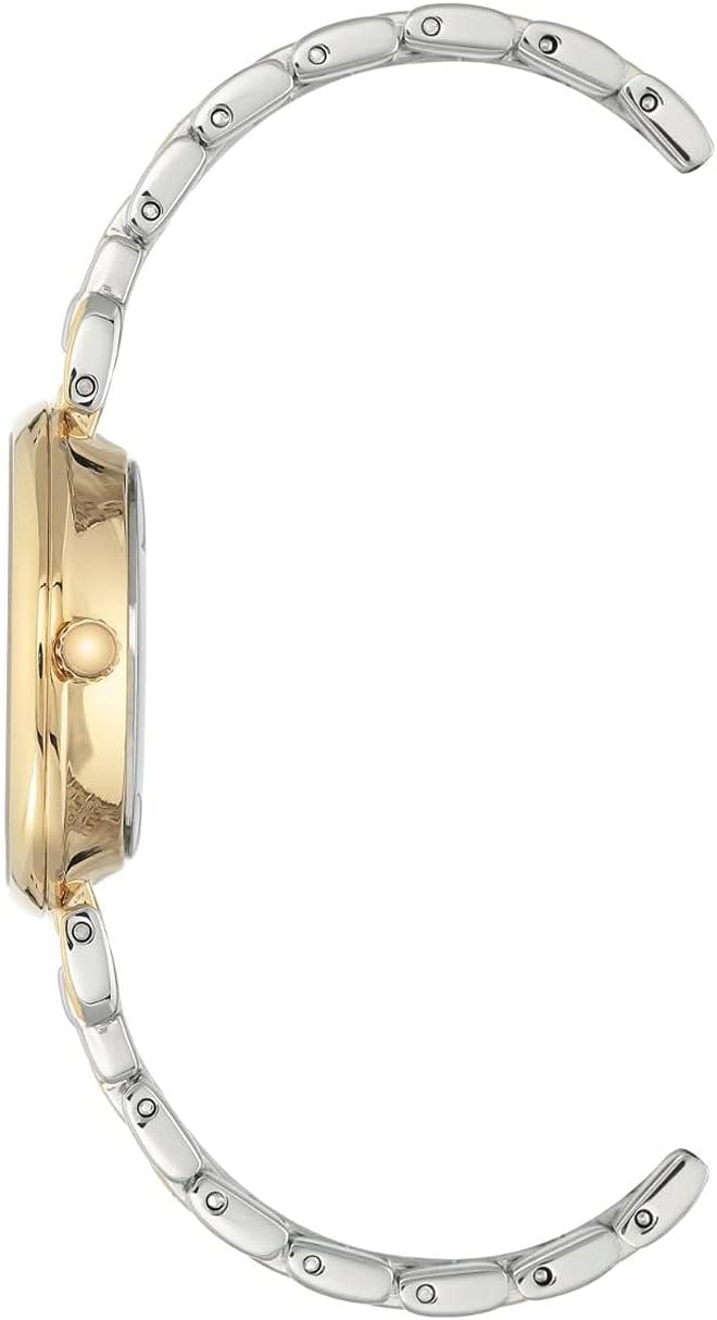Anne Klein Watch