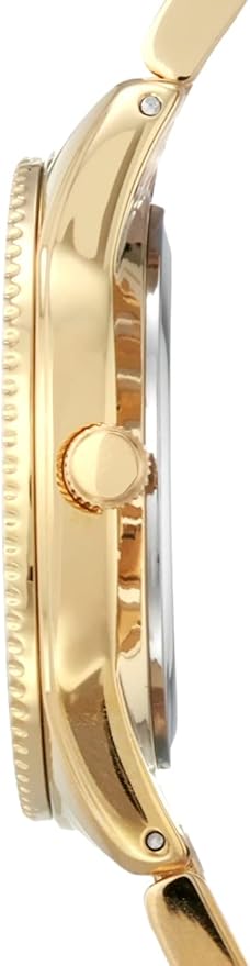 Anne Klein Watch
