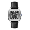 Pierre Richardson Watch