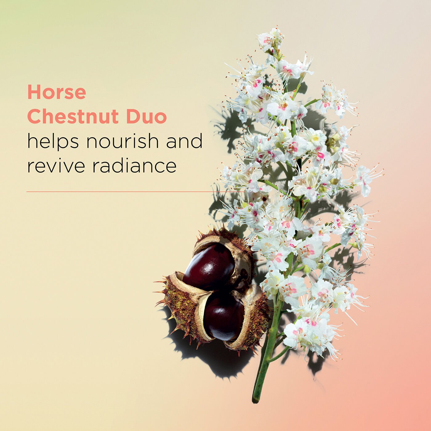 Clarins Nutri-Lumière Night Cream 50ml