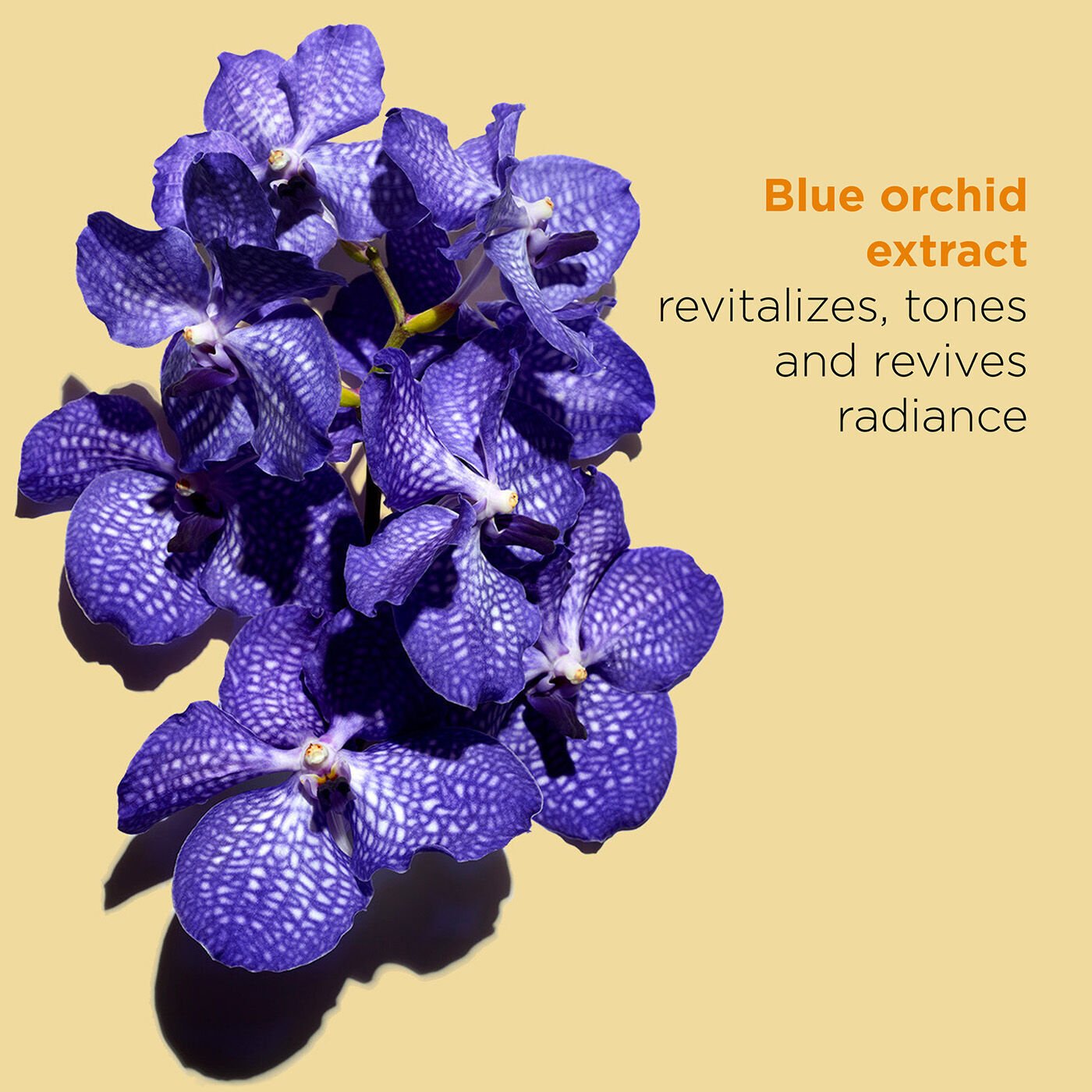 Blue Orchid שמן פנים ארומתרפי