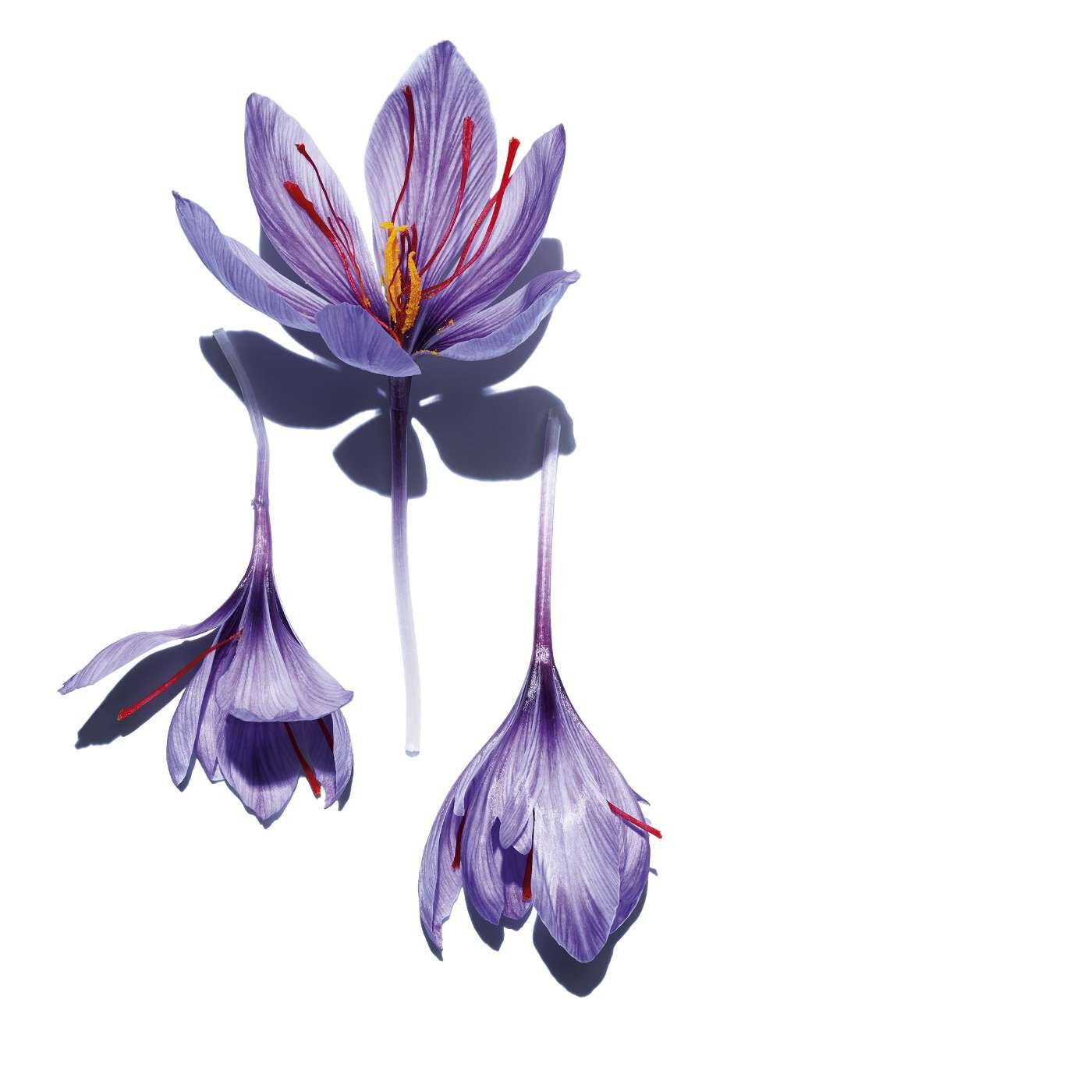 Clarins Hydra-Essentiel [HA²] Bi-phase Serum 30ml