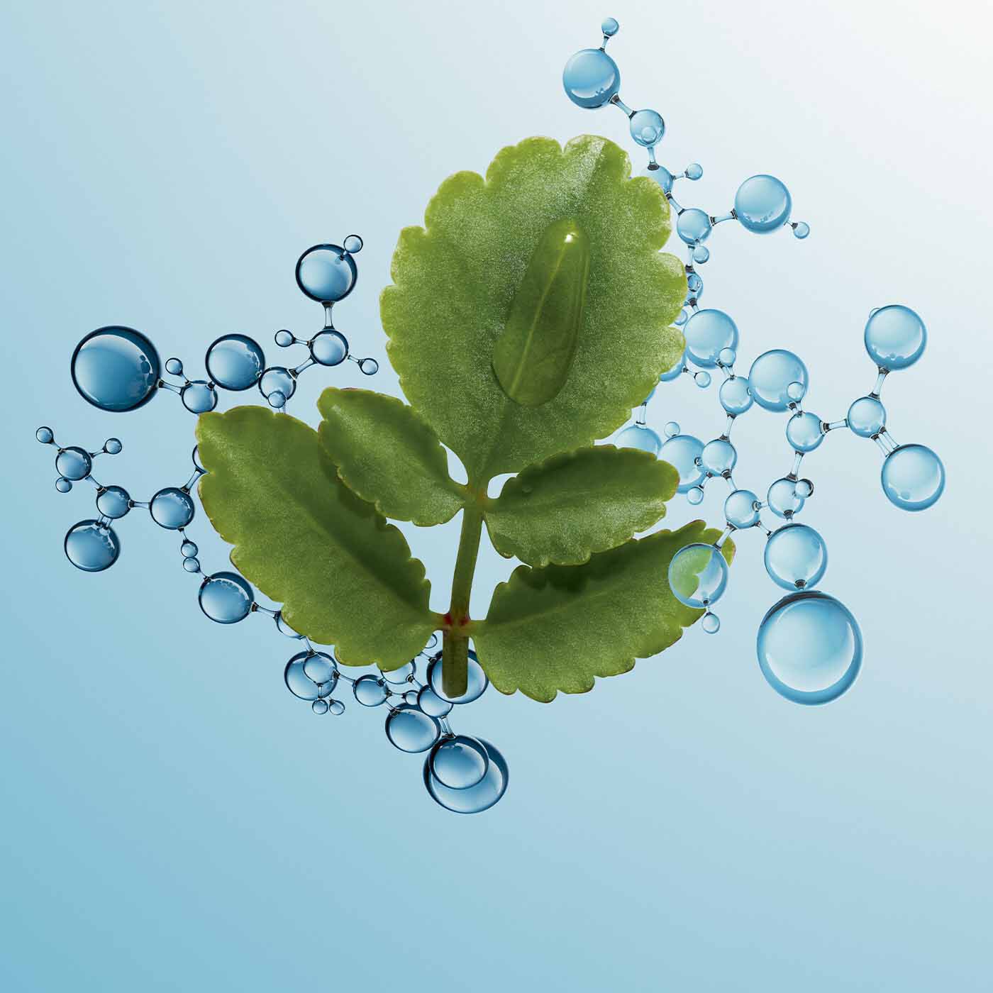 Hydra Essentiel ג'ל לחות למראה מאט - לעור רגיל ומעורב