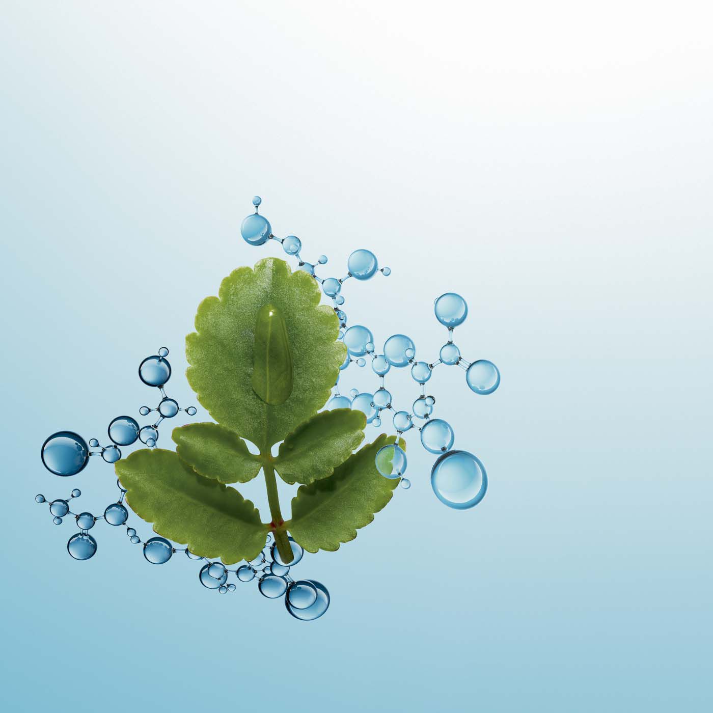 كلارينس كريم الليل"هايدرا إيسنشل 50ml