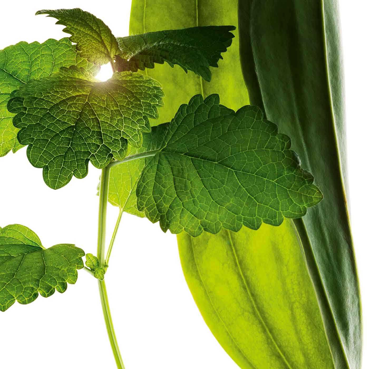 Clarins Total Cleansing Oil 150ml