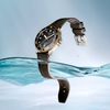 Tissot Seastar Watch