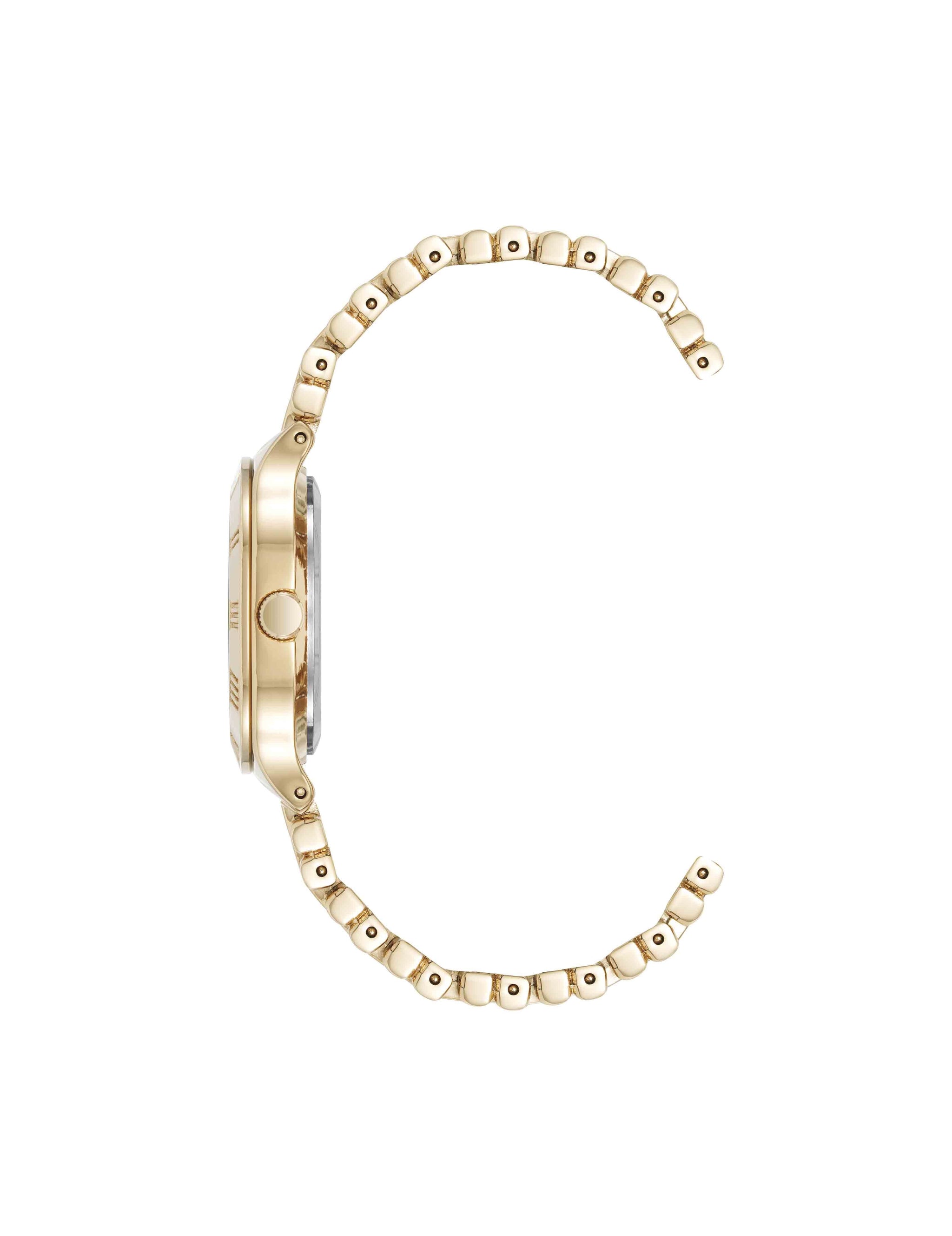 Anne Klein Iconic Watch