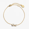 اسوارة دانون Glenda