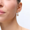 اقراط دانون Callidora