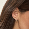 Danon Earrings