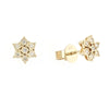 Natural Diamond Earrings