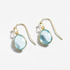 Danon Earrings