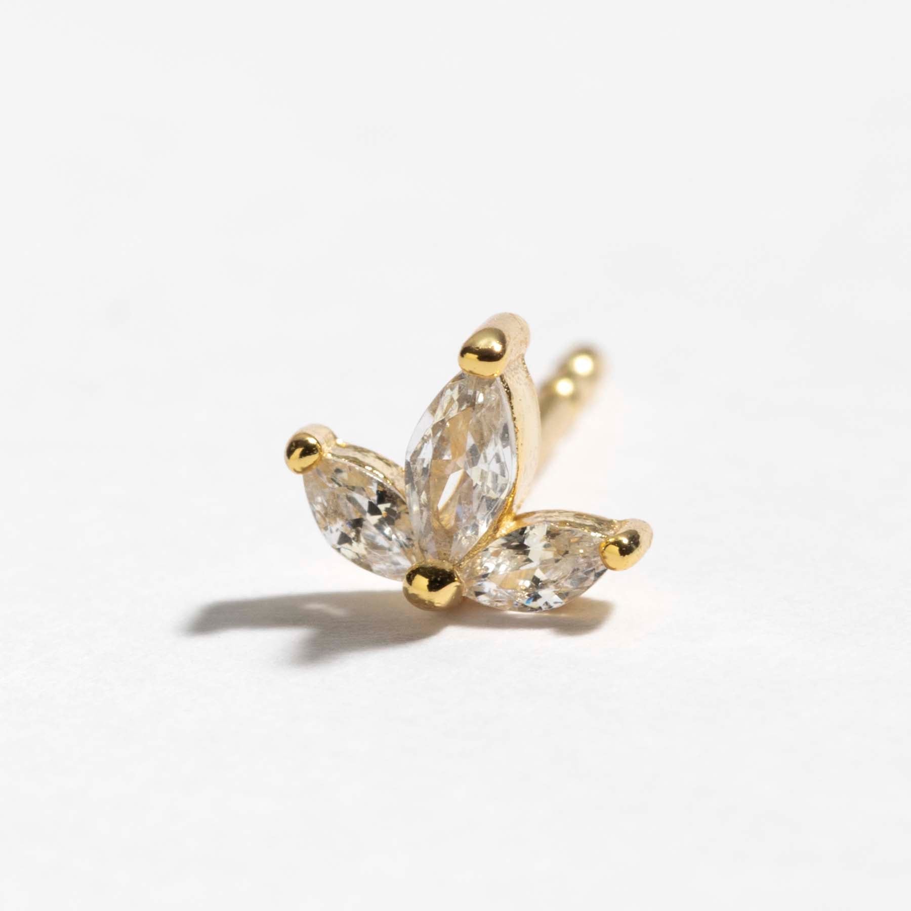 اقراط دانون