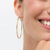 Danon Lunea Earrings