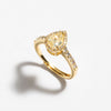 Danon Ring
