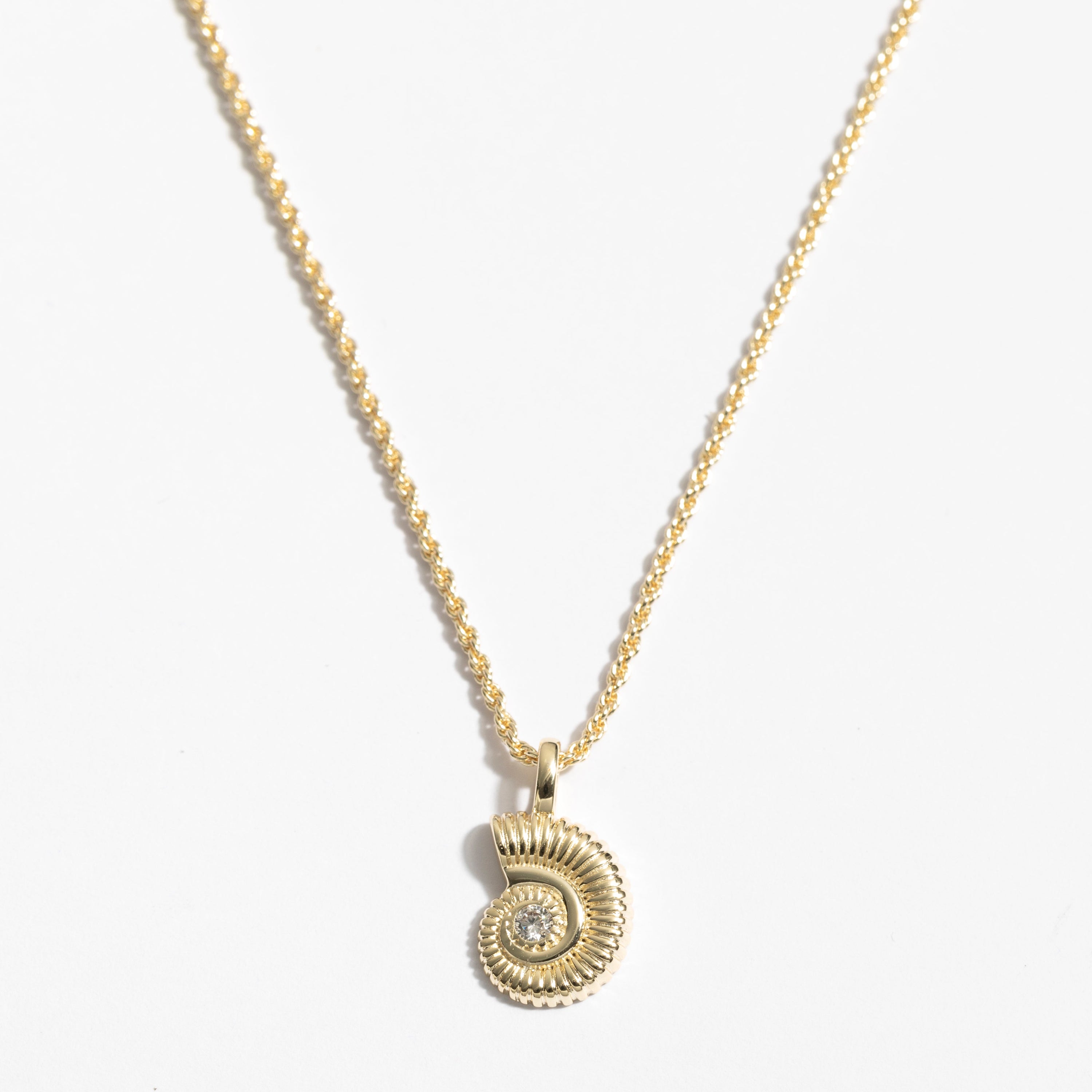 Danon Shell Necklace