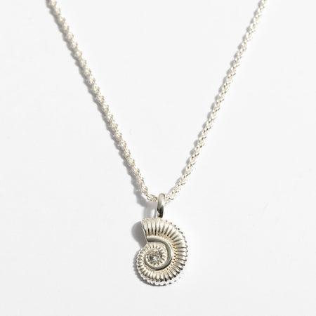 عقد دانون Shell
