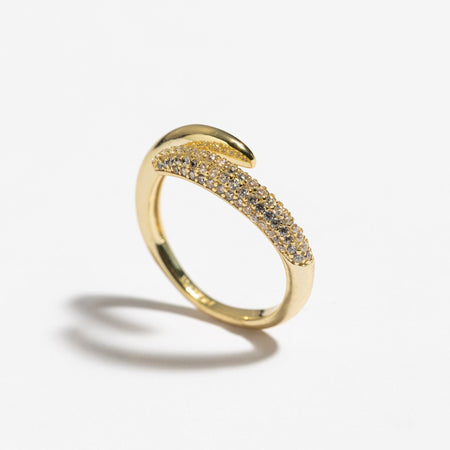 Danon Ring