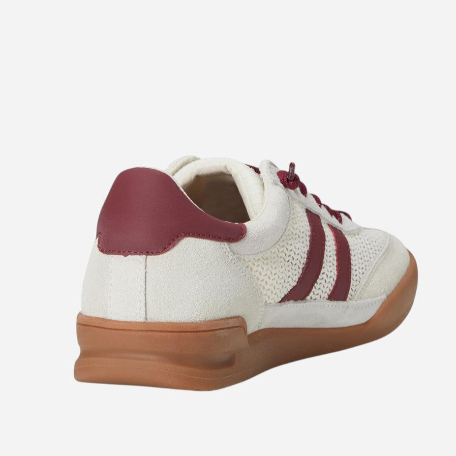 حذاء سنيكر ستيف مادن Verdict