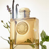 عطر بربري Goddess Intense EDP ‏100 مل