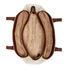 Guess Alice Bag