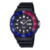 Casio Standard Watch