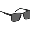 Tommy Hilfiger Polarized Sunglasses