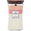 Woodwick Trilogy Blooming Orchard Hourglass Scented Candle