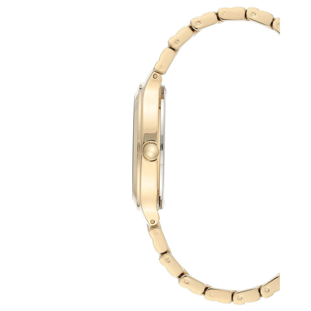 Anne Klein Solar Classic Watch